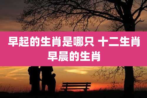 早起的生肖是哪只 十二生肖早晨的生肖