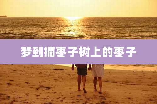 梦到摘枣子树上的枣子