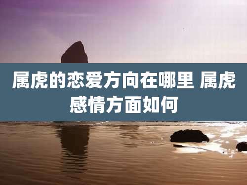 属虎的恋爱方向在哪里 属虎感情方面如何