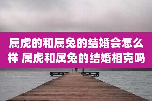 属虎的和属兔的结婚会怎么样 属虎和属兔的结婚相克吗