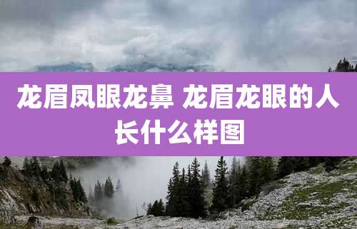 龙眉凤眼龙鼻 龙眉龙眼的人长什么样图