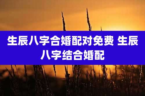 生辰八字合婚配对免费 生辰八字结合婚配