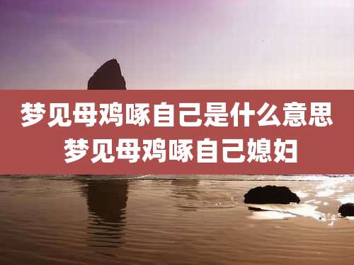 梦见母鸡啄自己是什么意思 梦见母鸡啄自己媳妇