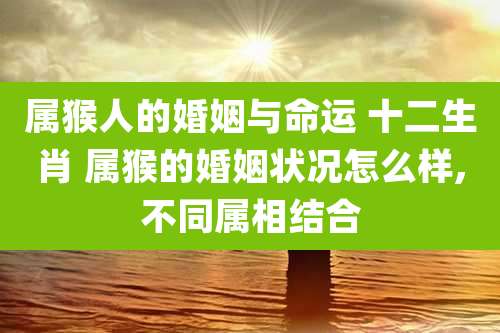 属猴人的婚姻与命运 十二生肖 属猴的婚姻状况怎么样,不同属相结合