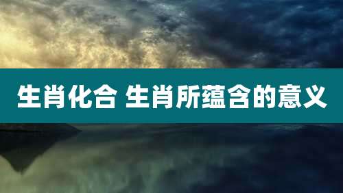 生肖化合 生肖所蕴含的意义