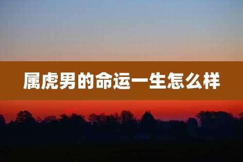 属虎男的命运一生怎么样
