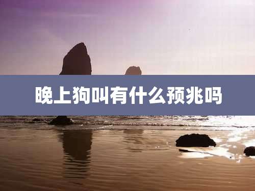 晚上狗叫有什么预兆吗