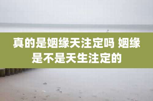 真的是姻缘天注定吗 姻缘是不是天生注定的