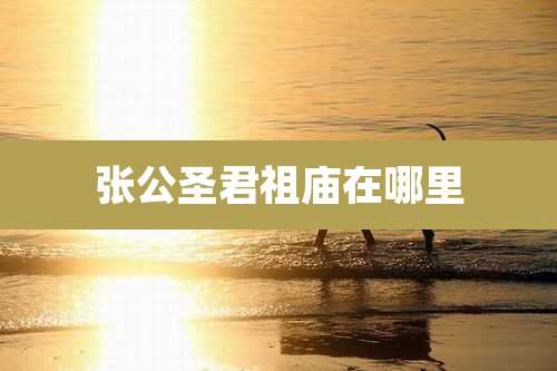 张公圣君祖庙在哪里