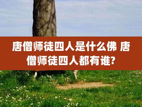 唐僧师徒四人是什么佛 唐僧师徒四人都有谁?
