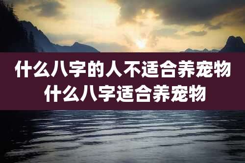 什么八字的人不适合养宠物 什么八字适合养宠物