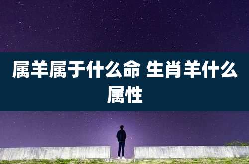 属羊属于什么命 生肖羊什么属性