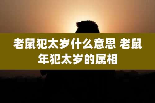 老鼠犯太岁什么意思 老鼠年犯太岁的属相