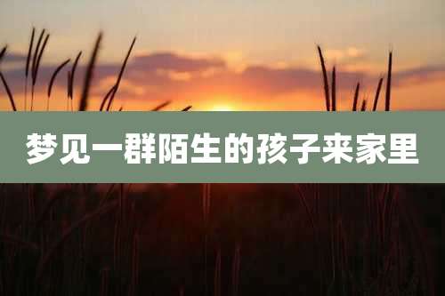 梦见一群陌生的孩子来家里