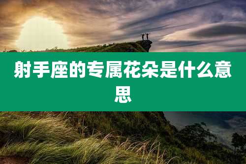 射手座的专属花朵是什么意思