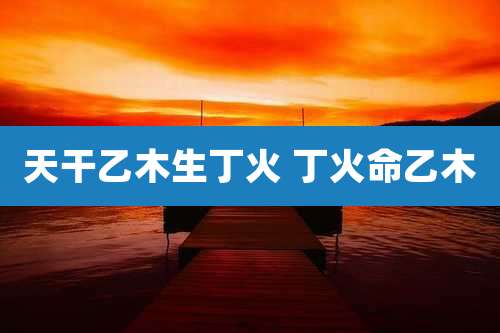 天干乙木生丁火 丁火命乙木