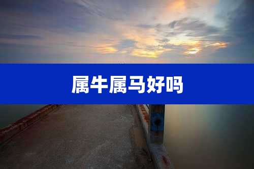 属牛属马好吗