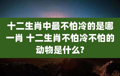 十二生肖中最不怕冷的是哪一肖 十二生肖不怕冷不怕的动物是什么?