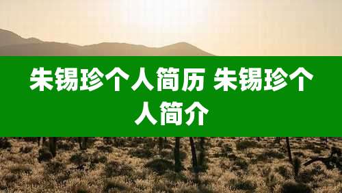 朱锡珍个人简历 朱锡珍个人简介