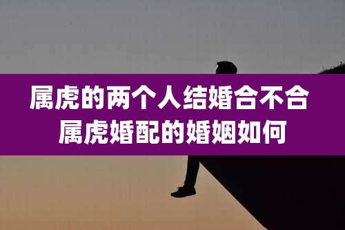 属虎的两个人结婚合不合 属虎婚配的婚姻如何