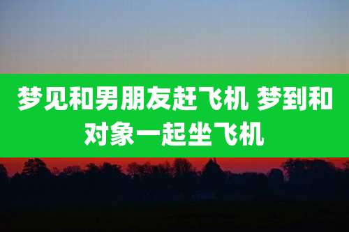 梦见和男朋友赶飞机 梦到和对象一起坐飞机