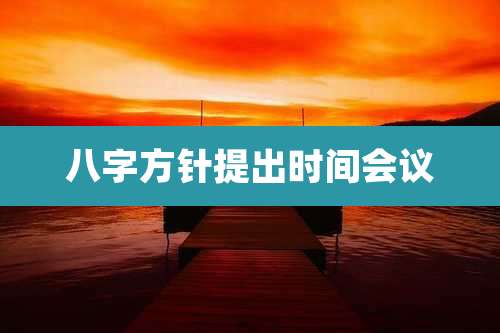八字方针提出时间会议