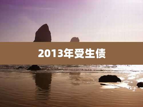 2013年受生债