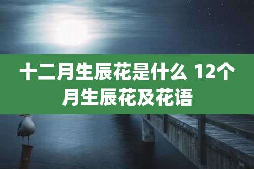 十二月生辰花是什么 12个月生辰花及花语