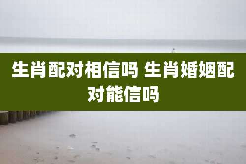 生肖配对相信吗 生肖婚姻配对能信吗