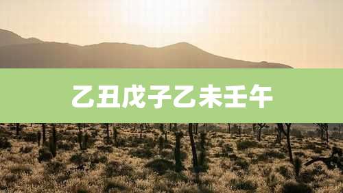 乙丑戊子乙未壬午