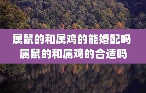 属鼠的和属鸡的能婚配吗 属鼠的和属鸡的合适吗