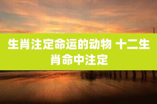 生肖注定命运的动物 十二生肖命中注定