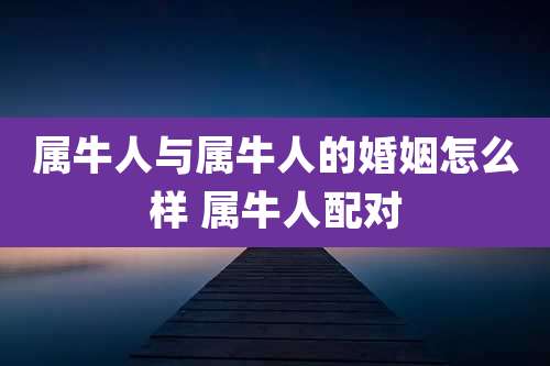 属牛人与属牛人的婚姻怎么样 属牛人配对