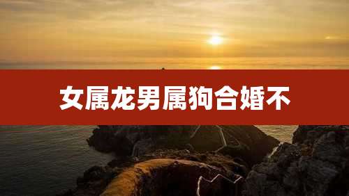 女属龙男属狗合婚不