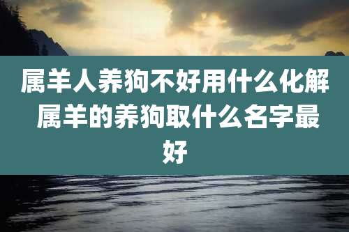 属羊人养狗不好用什么化解 属羊的养狗取什么名字最好