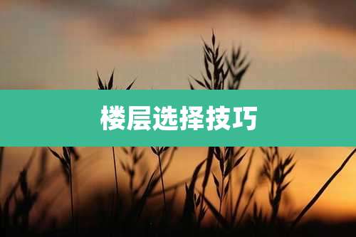 楼层选择技巧