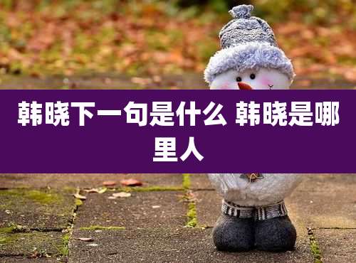 韩晓下一句是什么 韩晓是哪里人