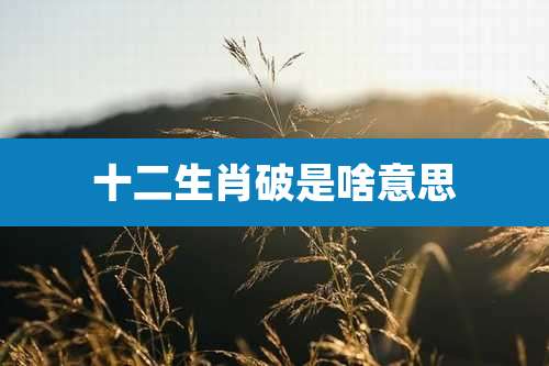 十二生肖破是啥意思