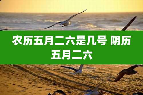 农历五月二六是几号 阴历五月二六