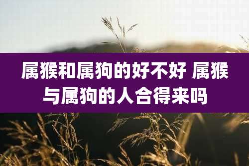 属猴和属狗的好不好 属猴与属狗的人合得来吗