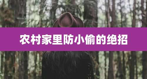 农村家里防小偷的绝招