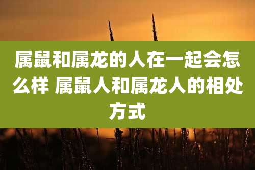 属鼠和属龙的人在一起会怎么样 属鼠人和属龙人的相处方式