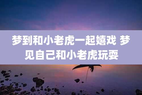 梦到和小老虎一起嬉戏 梦见自己和小老虎玩耍
