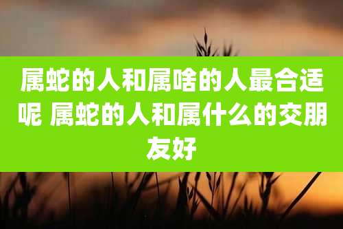 属蛇的人和属啥的人最合适呢 属蛇的人和属什么的交朋友好