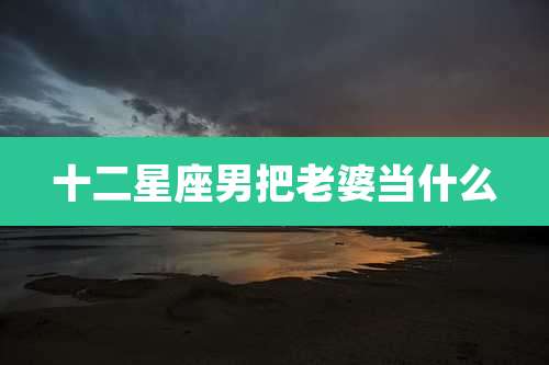 十二星座男把老婆当什么