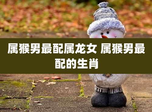 属猴男最配属龙女 属猴男最配的生肖