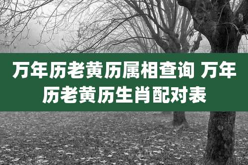万年历老黄历属相查询 万年历老黄历生肖配对表