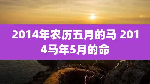2014年农历五月的马 2014马年5月的命