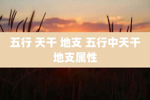 五行 天干 地支 五行中天干地支属性