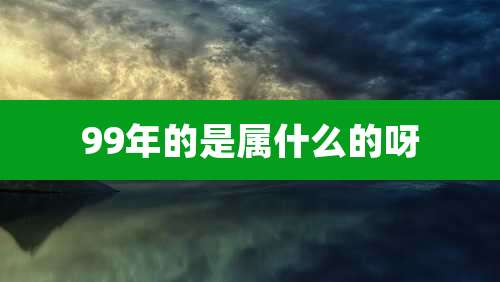 99年的是属什么的呀